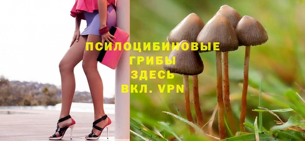 MDMA Premium VHQ Бутурлиновка
