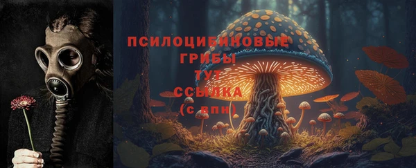 Альфа ПВП Приозерск