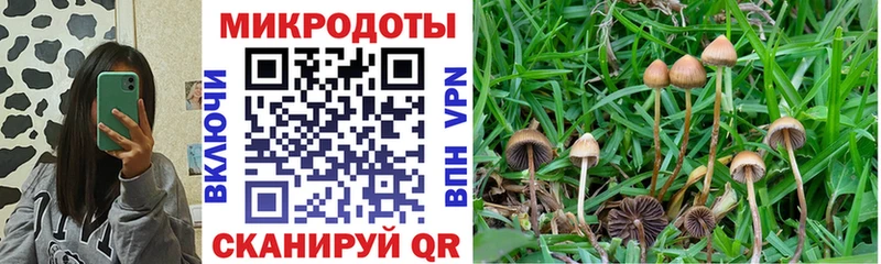 Галлюциногенные грибы Cubensis  Комсомольск-на-Амуре 