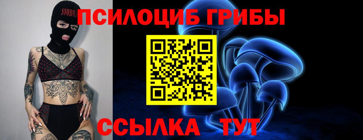 Псилоцибиновые грибы Cubensis Комсомольск-на-Амуре